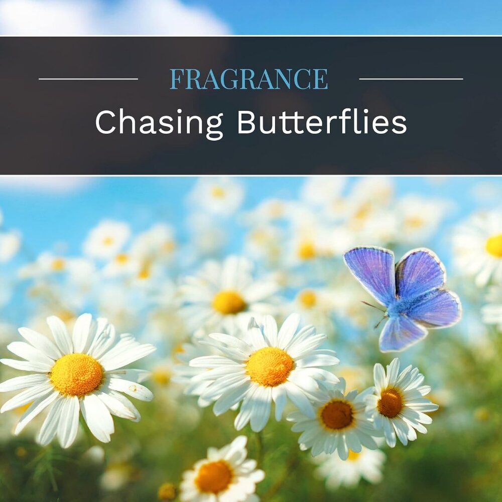 Everday Chasing Butterflies Scented Candle, 18 oz. Aromatherapy Candle, Off-Whit - Picture 4 of 9